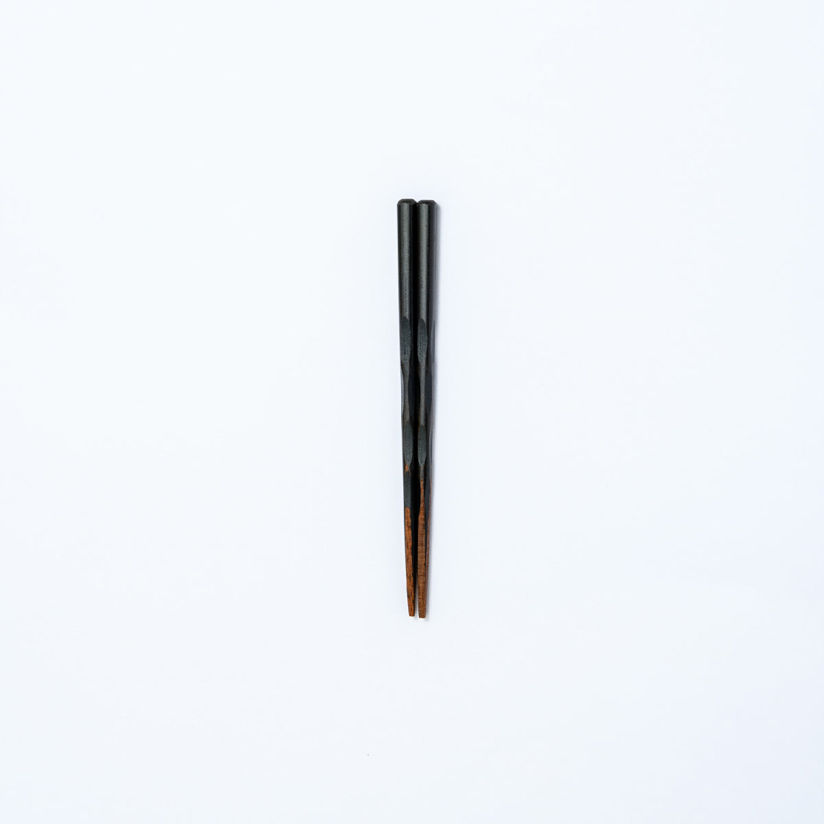 KOI木子供箸 14~19cm 【若狭塗箸】