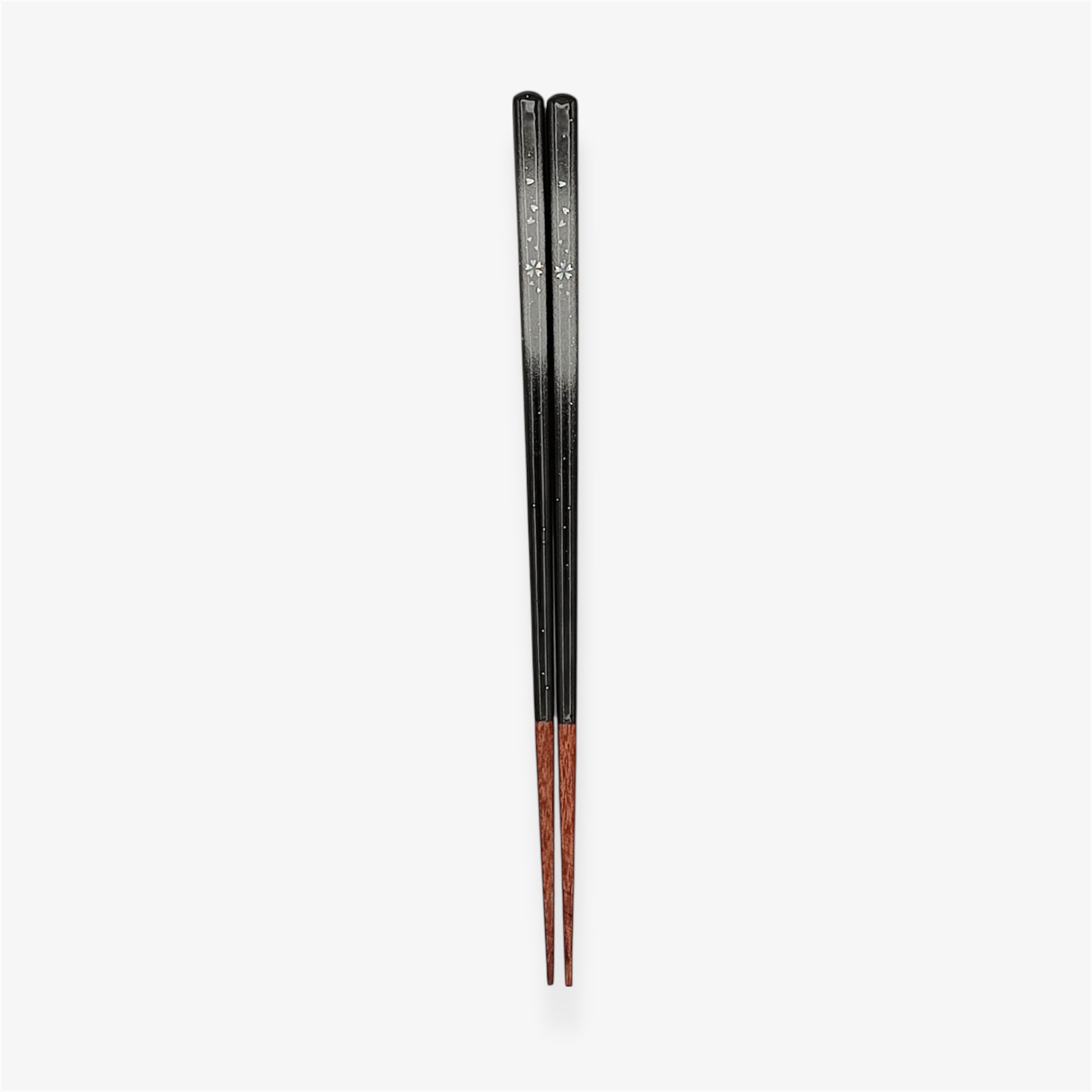 かすみ桜(さくら)　22～24cm 【若狭塗箸】