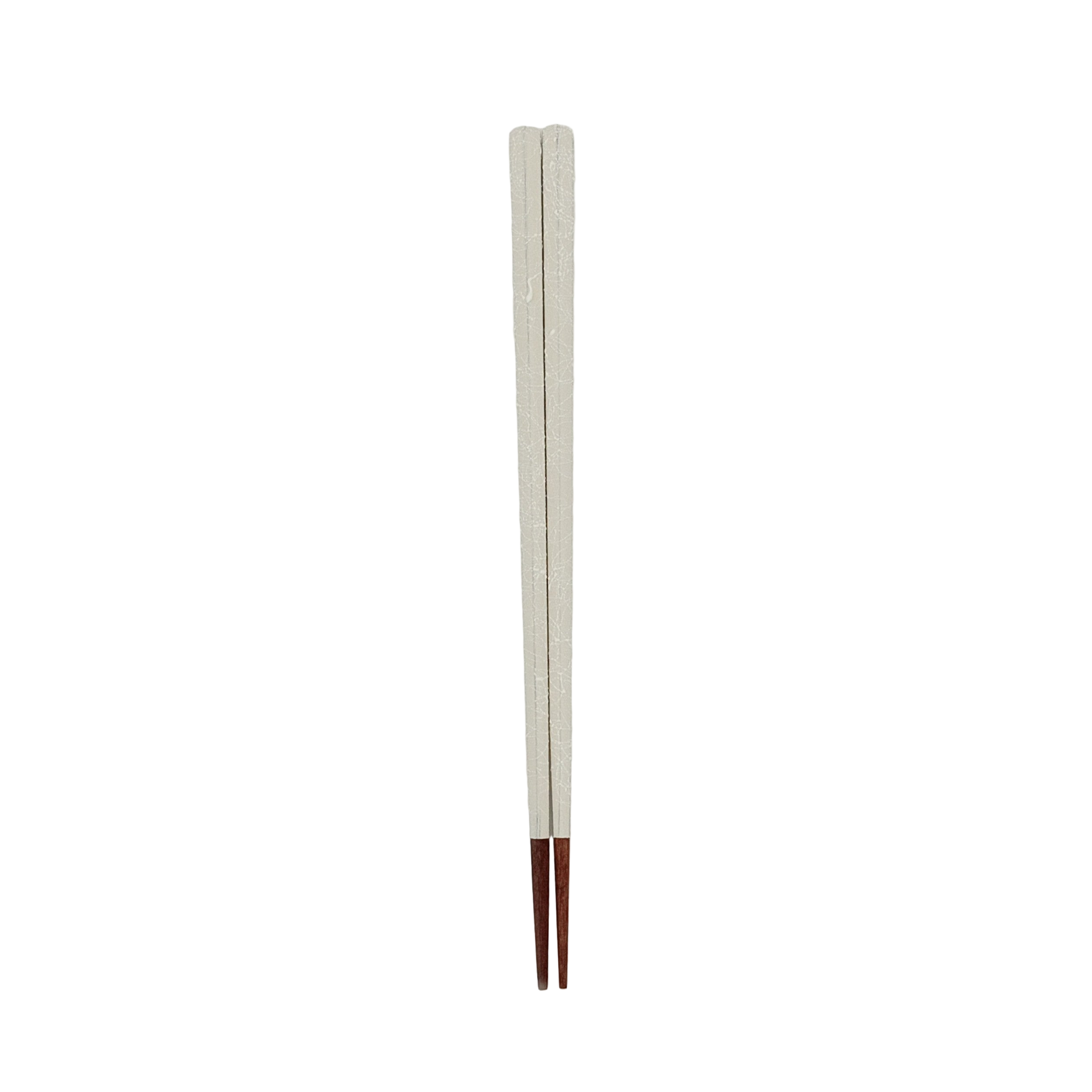 モノクロ　24cm 【若狭塗箸】
