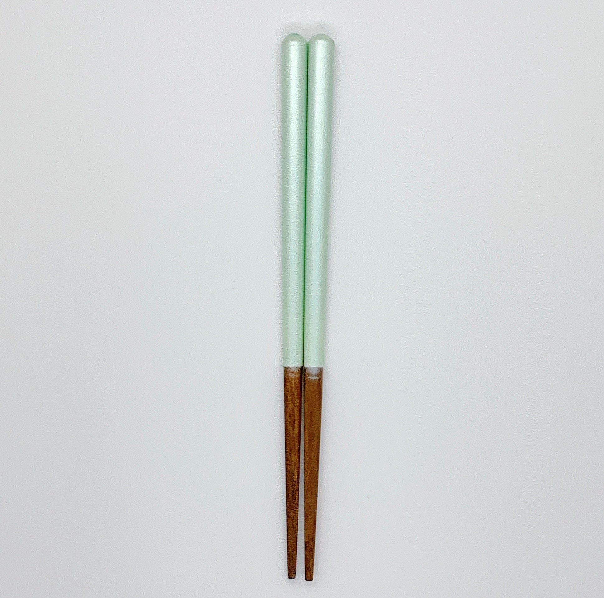 シャーベット子供箸 14～19cm 【若狭塗箸】
