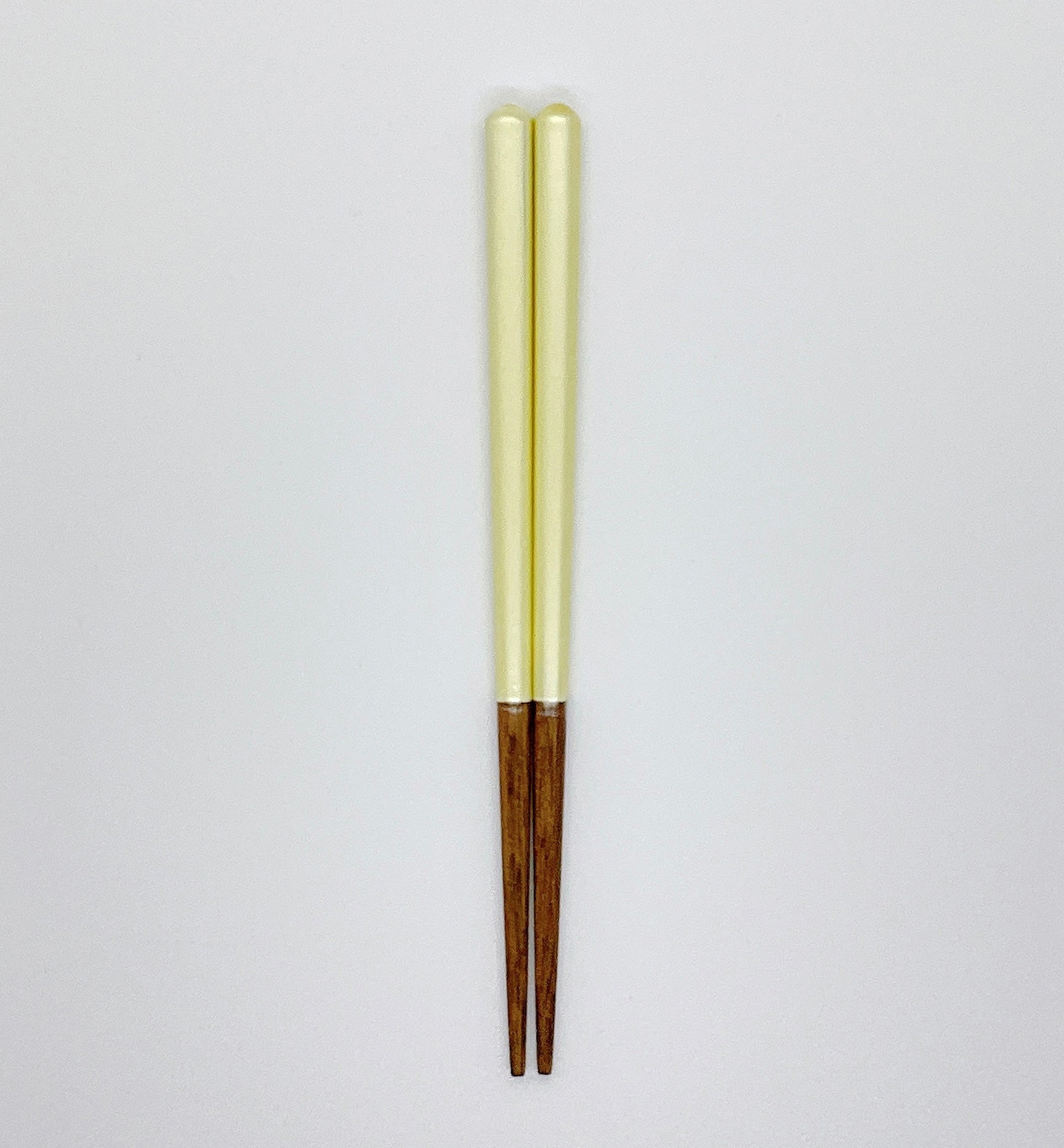 シャーベット子供箸 14～19cm 【若狭塗箸】